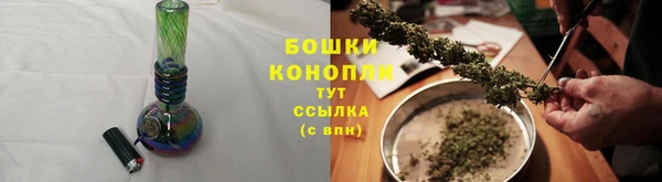 PSILOCYBIN Богданович